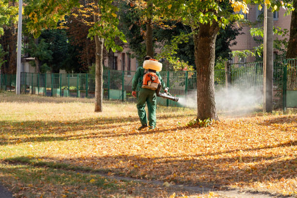 Insect Control in Fairmont, NC